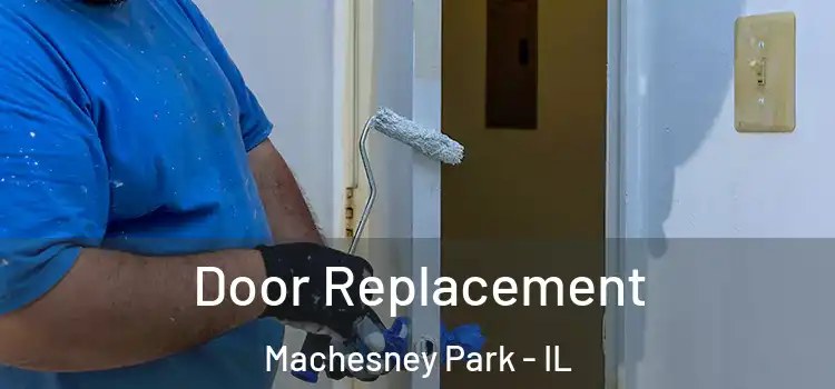  Door Replacement Machesney Park - IL