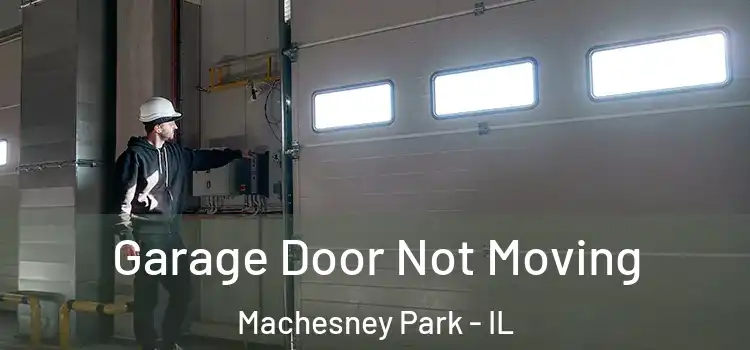  Garage Door Not Moving Machesney Park - IL
