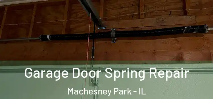  Garage Door Spring Repair Machesney Park - IL