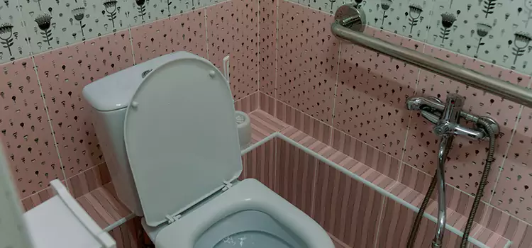 Meeting Diverse Needs With Accessible Restroom Solutions in Machesney Park, IL