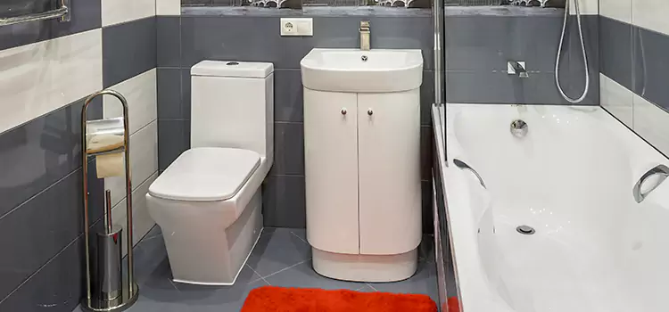 Hansgrohe Shaving Mirror Machesney Park