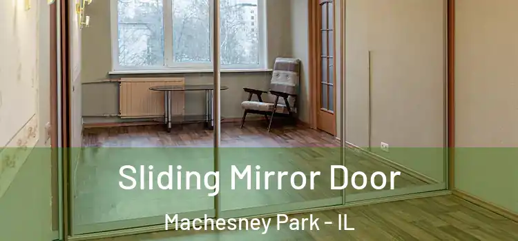  Sliding Mirror Door Machesney Park - IL